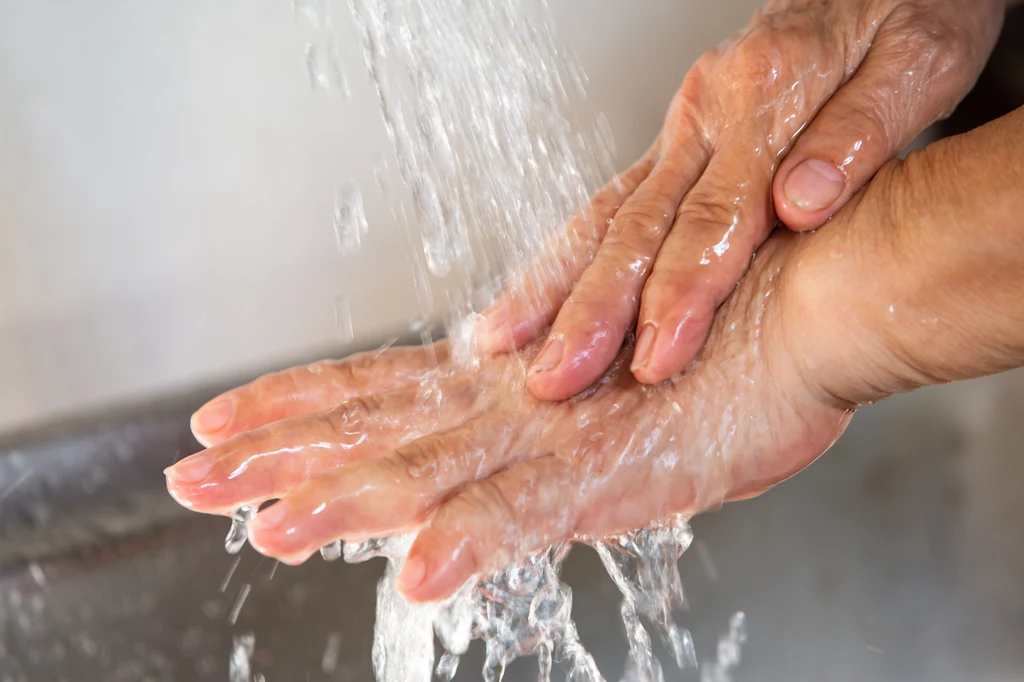 Przed przystąpieniem do dezynfekcji warzyw i owoców należy umyć dłonie mydłem i wodą 