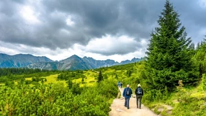 Ile jest parków narodowych w Polsce? Który największy, który najstarszy