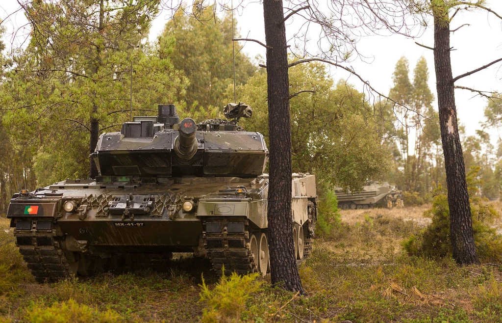 Leopard 2A6 wyposażony jest także w stabilizowany celownik EMES-15 ze zintegrowanym dalmierzem laserowym, który może wykryć cel już na odległości 9900 metrów