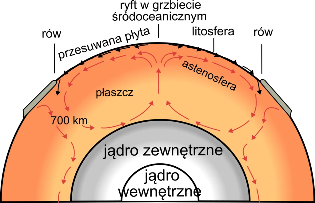 Uproszczony model konwekcji w płaszczu Ziemi. Komórki konwekcyjne przedstawione są czerwonymi strzałkami