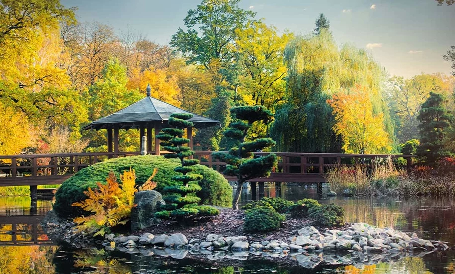 Najważniejsze zasady aranżacji japońskiego ogrodu
