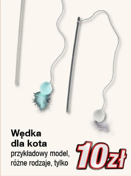 Wędka dla kota