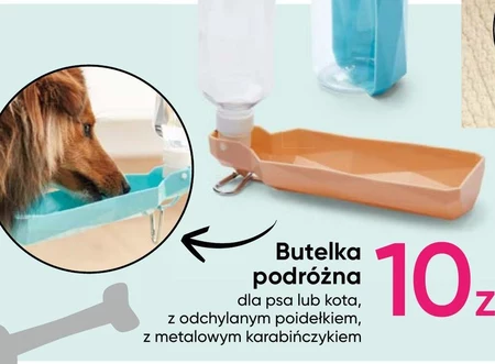 Butelka dla psa