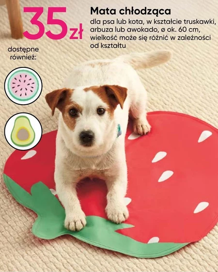 Mata chłodząca