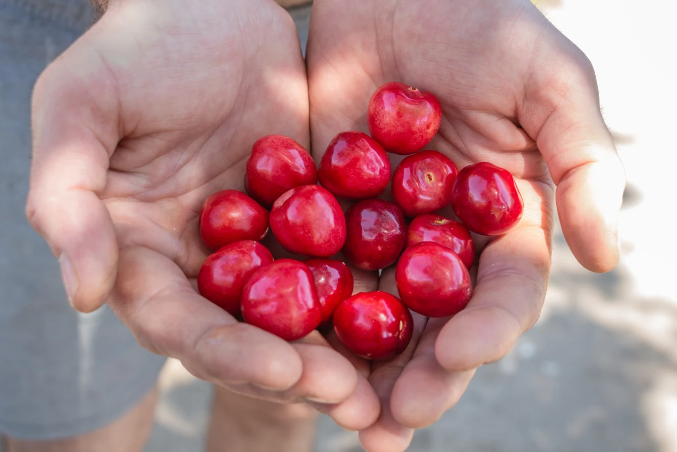 Czy czereśnie można popijać wodą? 