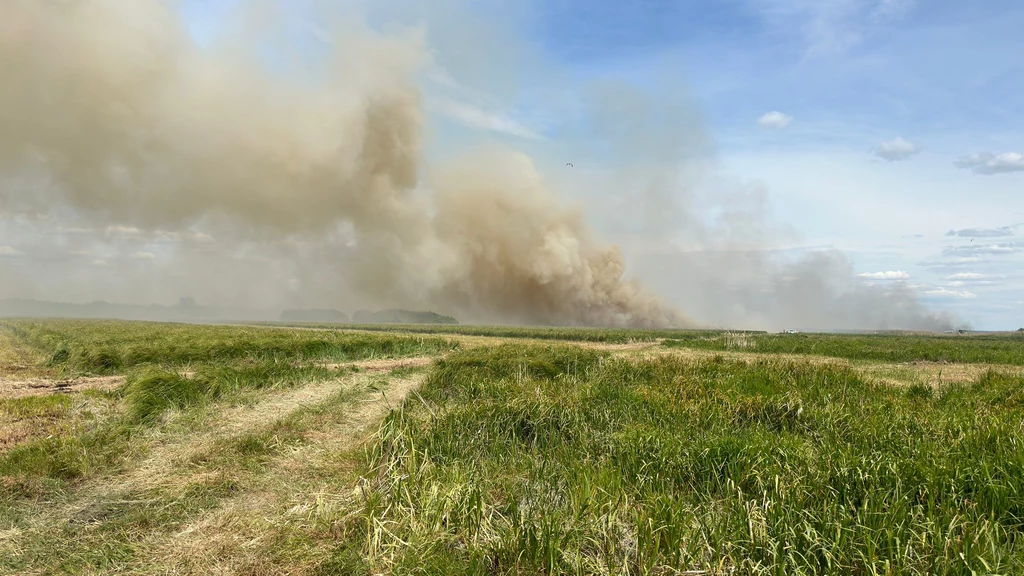 Ogromny pożar łąk na terenie Biebrzańskiego Parku Narodowego. W akcji bierze udział 30 zastępów straży pożarnej