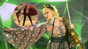 Edyta Golec o koniach w Morskim Oku. Wyraźny sprzeciw gwiazdy