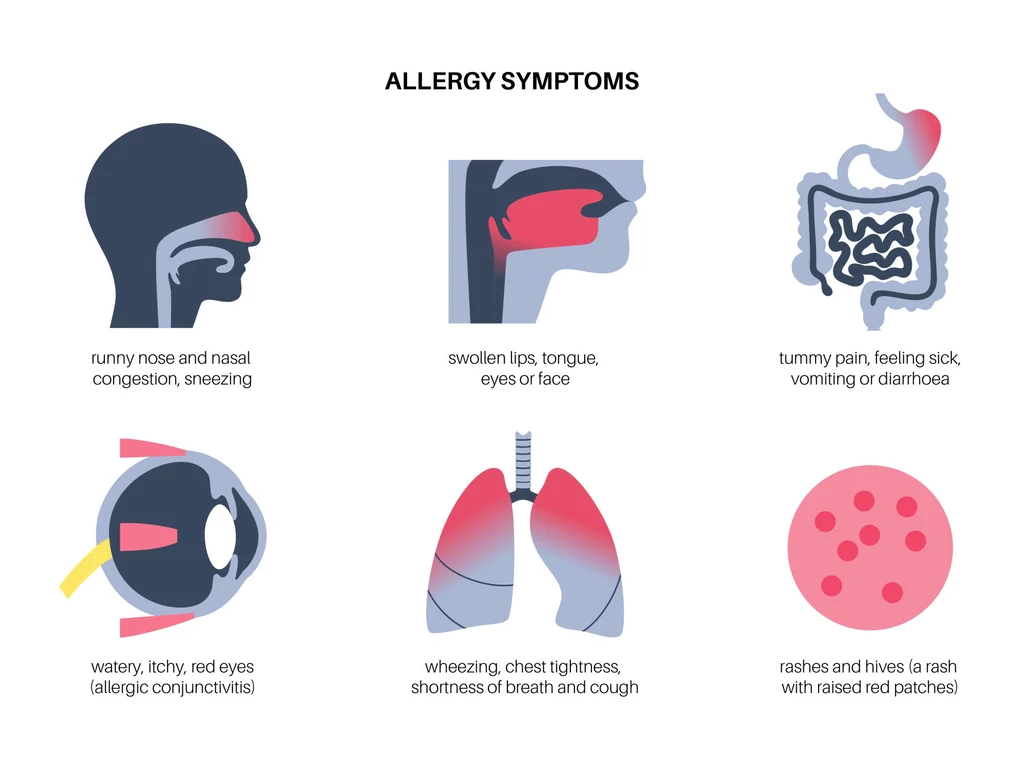Alergie mogę powodować katar, ból gardła, bóle brzucha i wymioty, świąd oczu, kaszel i wysypkę