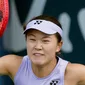 Lin Zhu