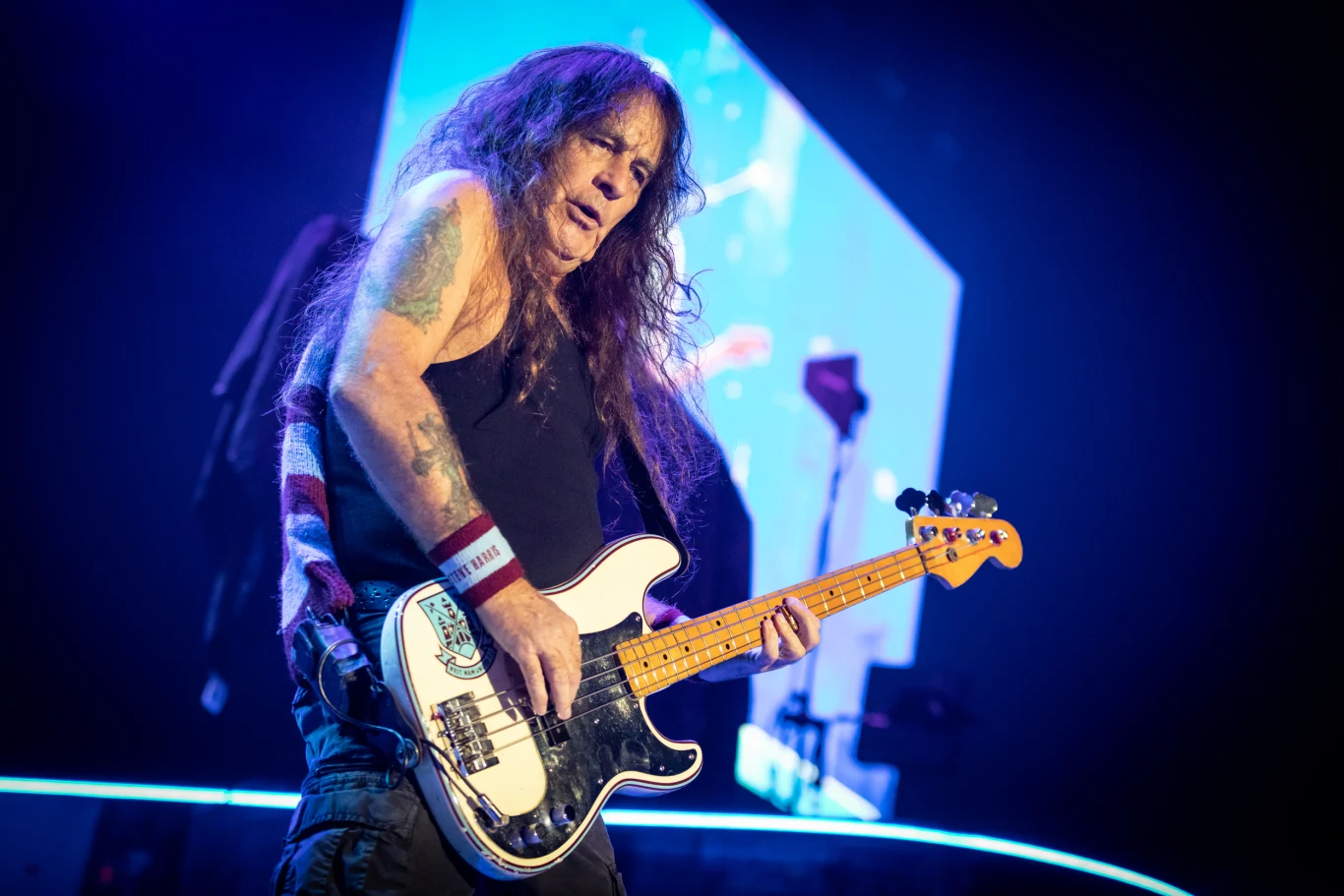 Steve Harris (Iron Maiden) Steve Harris (Iron Maiden)