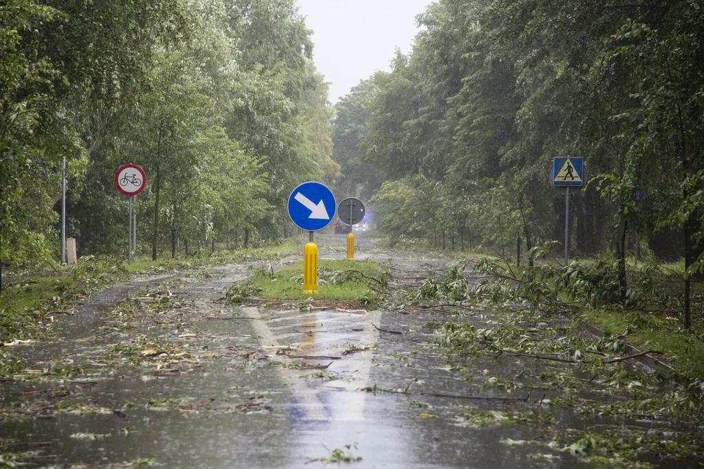 Skutki przejścia burzy. Co zrobić, gdy burza złapie nas w trasie?