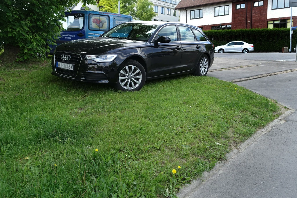 Parkowanie na trawniku w miastach jest zabronione i grozi za to nawet do 1000 zł grzywny.