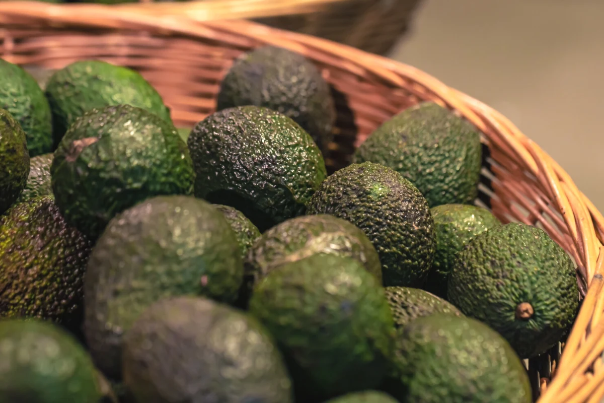 Awokado wykazuje działanie przeciwzapalne, przeciwzakrzepowe i antynowotworowe