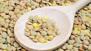 Po 50. roku życia warto wzbogacić swoją dietę o kilka produktów. Sprawdź, co znalazło się na naszej liście