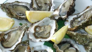 Zjadł owoce morza i trafił do szpitala. Bakteria doprowadziła do śmierci