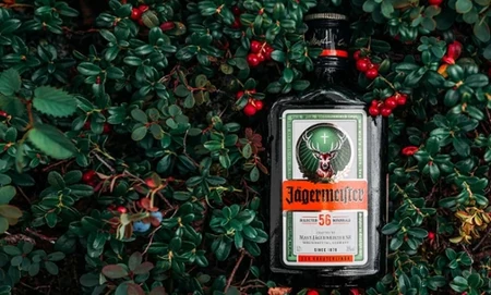 Jagermeister z czym pić