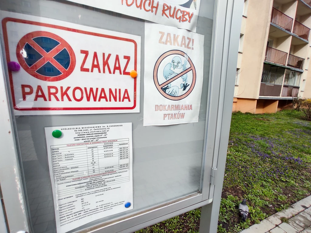 Parkowanie pod oknami i balkonami jest zmorą polskich osiedli