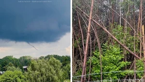 Wyjątkowe zjawisko w okolicach Gniezna