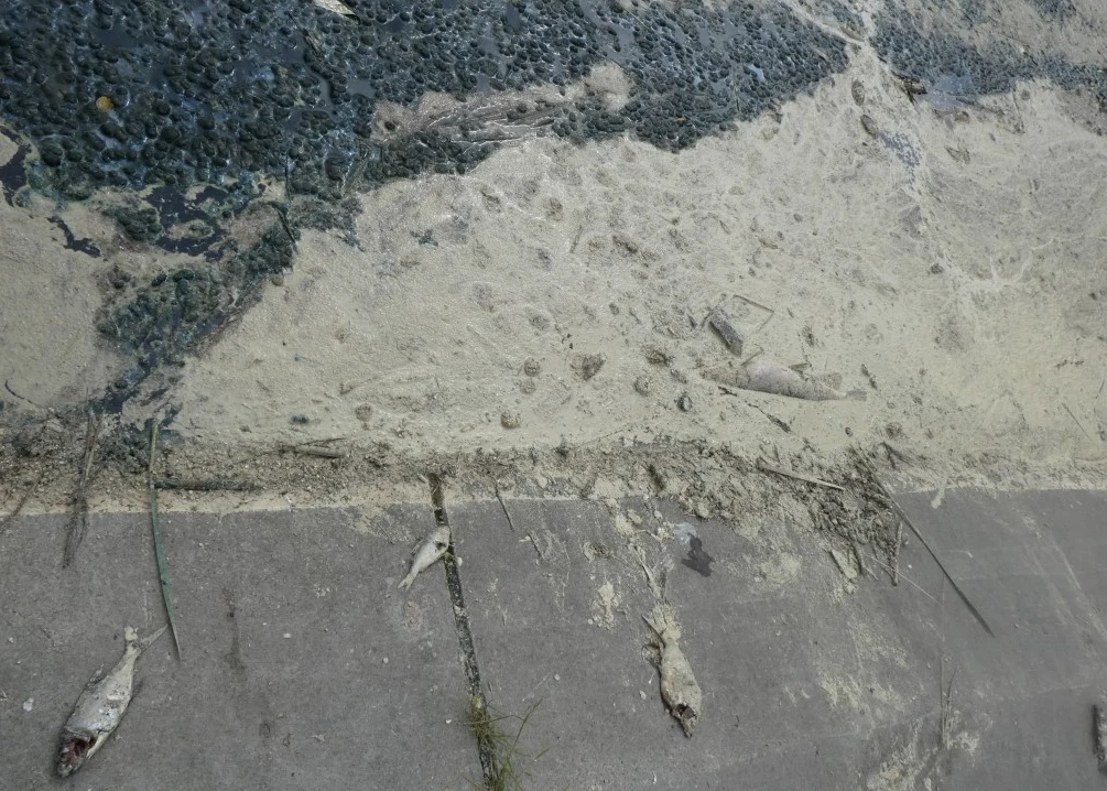 O sprawie powiadomiono Prezydenta Miasta Łodzi