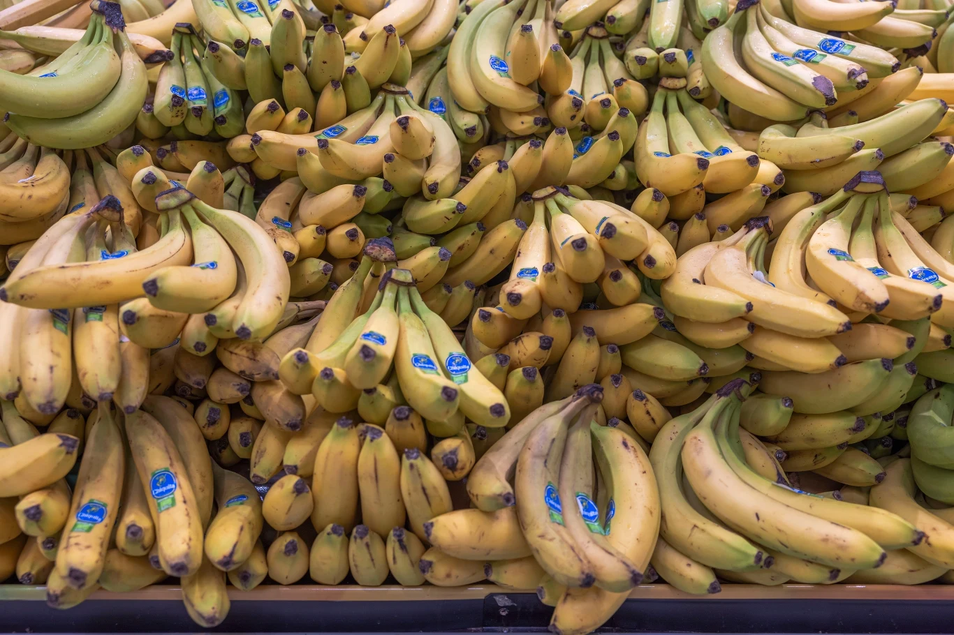 Pająk bananowiec może być ukryty w skrzynkach lub kartonach z bananami.