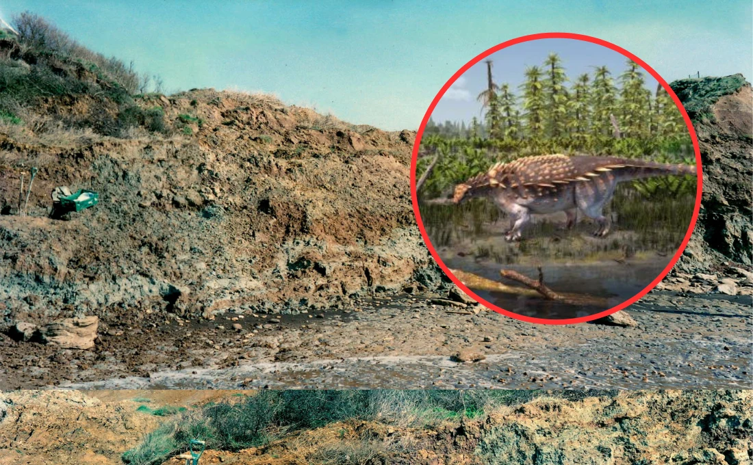 Nowy gatunek dinozaura żywił się wyłącznie roślinami Nowy gatunek dinozaura żywił się wyłącznie roślinami