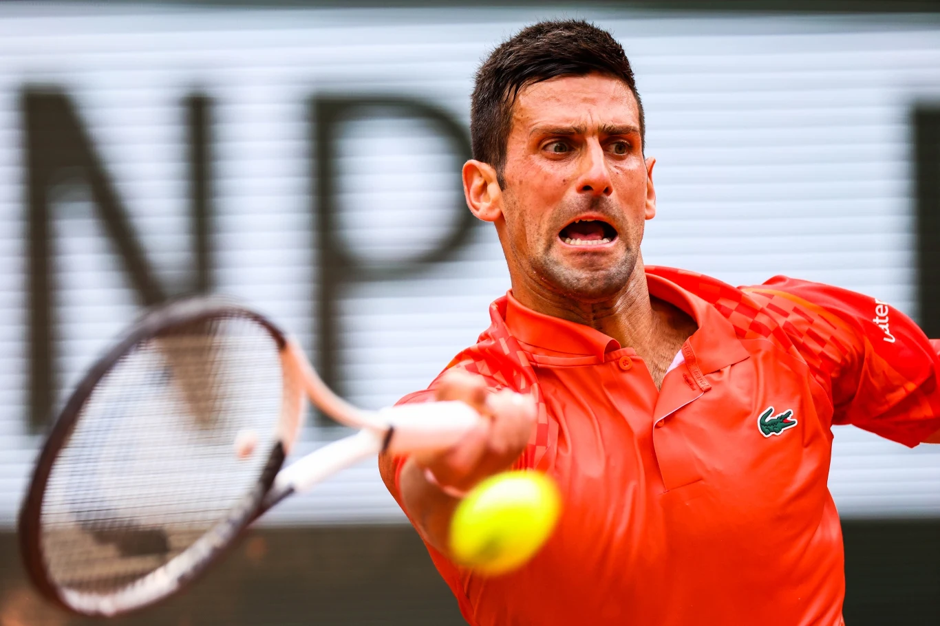 Novak Djoković Novak Djoković