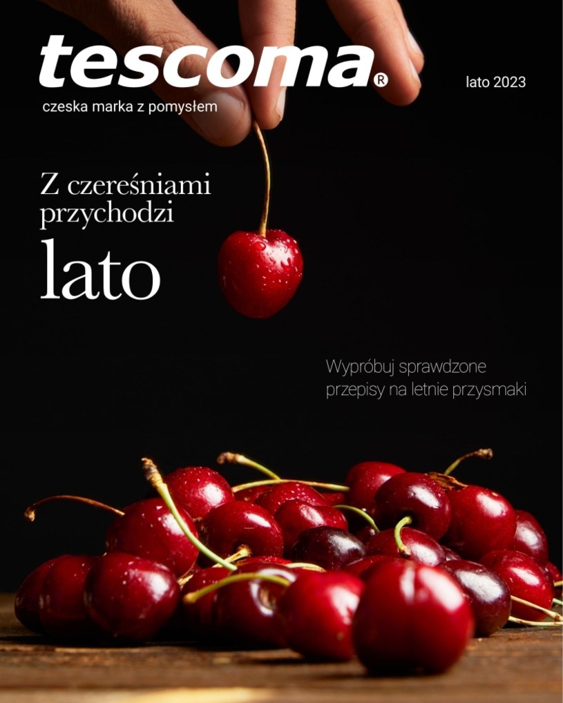 Gazetka promocyjna Tescoma - wygasła 78 dni temu