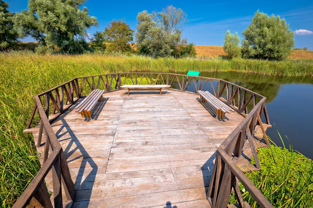 Park przyrody Kopački Rit w Chorwacji, Baranja