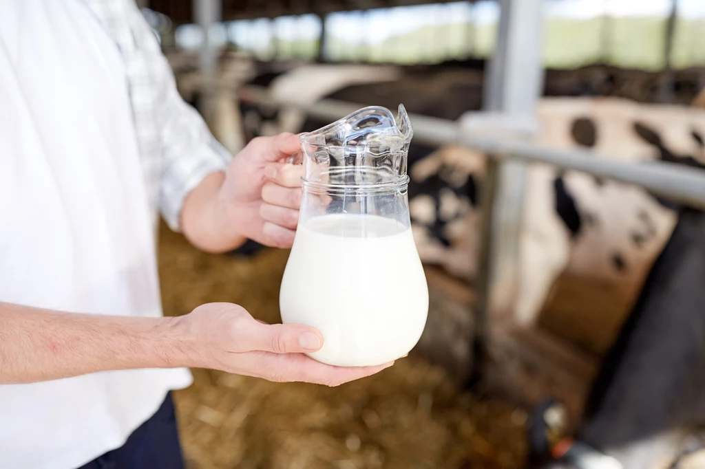Mleko może przydać się w recyklingu. Okazuje się, że stworzony ze starego mleka aerożel pomaga w ekstrakcji złota z elektrośmieci