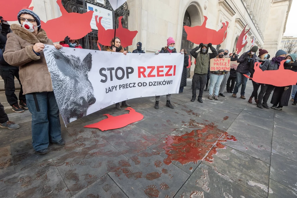 Protesty w 2022 r. przeciw masowej rzezi dzików