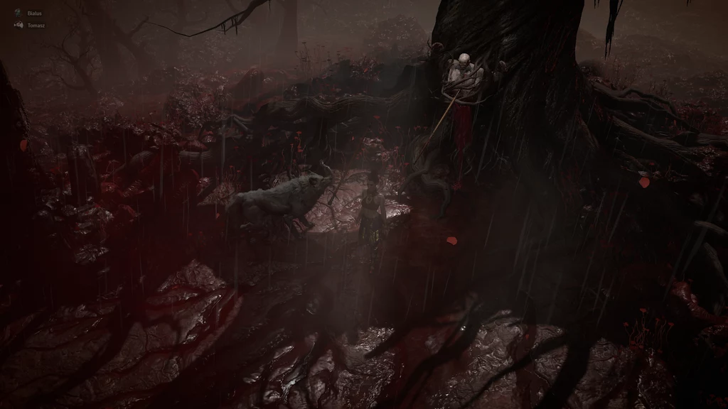 Diablo 4 Diablo 4