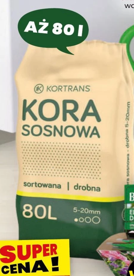 Kora sosnowa