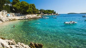 Lawendowa wyspa w Chorwacji. Idealne miejsce na urlop