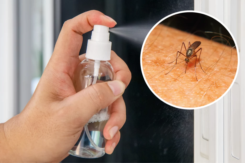 Pomocny w walce z komarami i muchami może okazać się domowy preparat, którym należy spryskać futryny drzwi oraz ramy okien, by zniechęcić te uciążliwe owady przed wleceniem do domu
