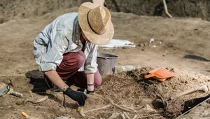 Najważniejsze polskie odkrycia archeologiczne. Polacy w światowej czołówce 