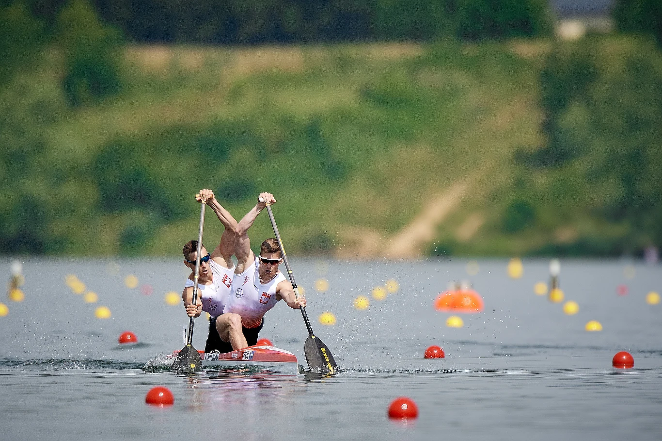 Norman Zezula i Aleksander Kitewski