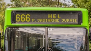 Zlikwidowany autobus 666 powróci na Hel? Nieoczekiwany zwrot akcji