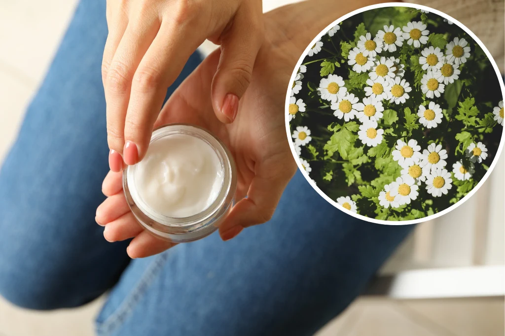 W sezonie letnim warto zrezygnować z kremów i maści, które w swoim składzie mają rumianek