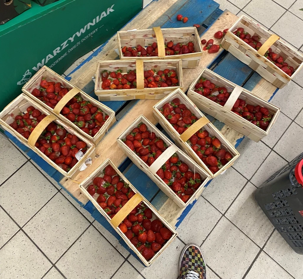 Truskawki w Biedronce ułożone na palecie. Widać rozsypane owoce i przebrane koszyczki z pogniecionymi sztukami. Truskawki w Biedronce ułożone na palecie. Widać rozsypane owoce i przebrane koszyczki z pogniecionymi sztukami.