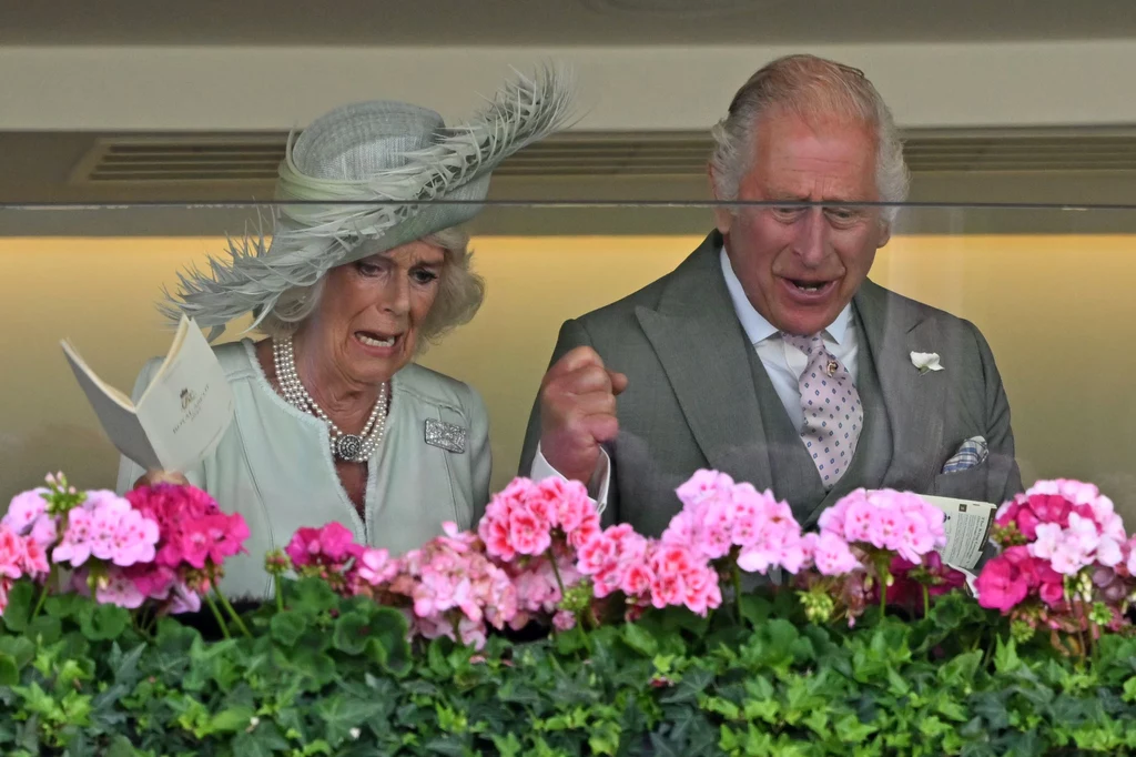 Emocje króla Karola i jego małżonki Kamili na Royal Ascot Emocje króla Karola i jego małżonki Kamili na Royal Ascot