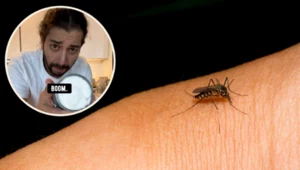 Pozbądź się komarów. Tik-toker przyszykował "bombę" na owady!