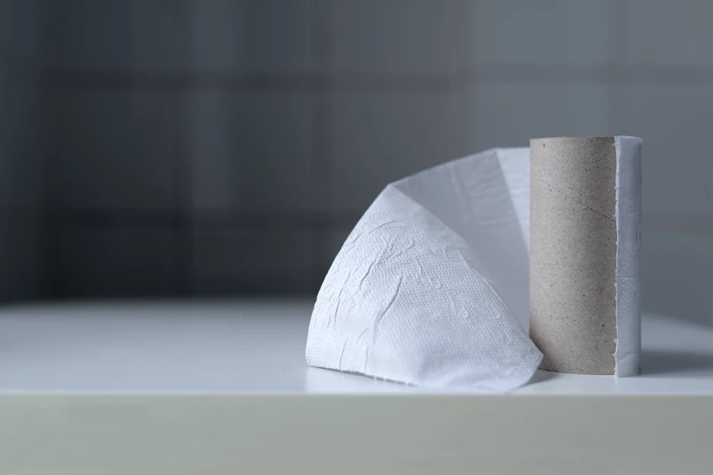 Rolki po papierze toaletowym doskonale sprawdzą się podczas wieszania zasłon