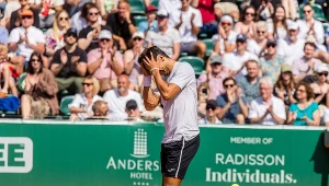 Argentyński terier zatańczył tango. Nie było gdzie szpilki wcisnąć