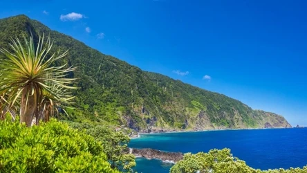 Madera jest nazywana wyspą wiecznej wiosny