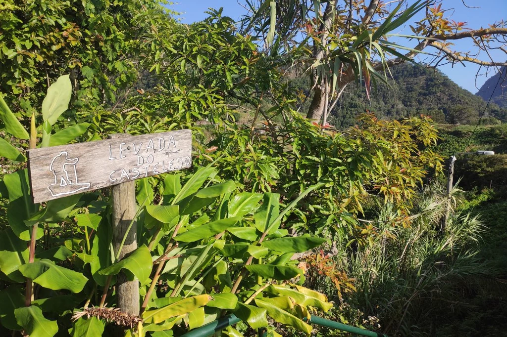 Levada de Castelejo na Maderze