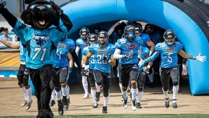 Zawodnicy Panthers Wrocław