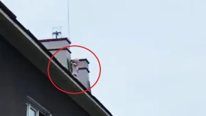 Czteroletnia dziewczynka chodziła po dachu kamienicy
