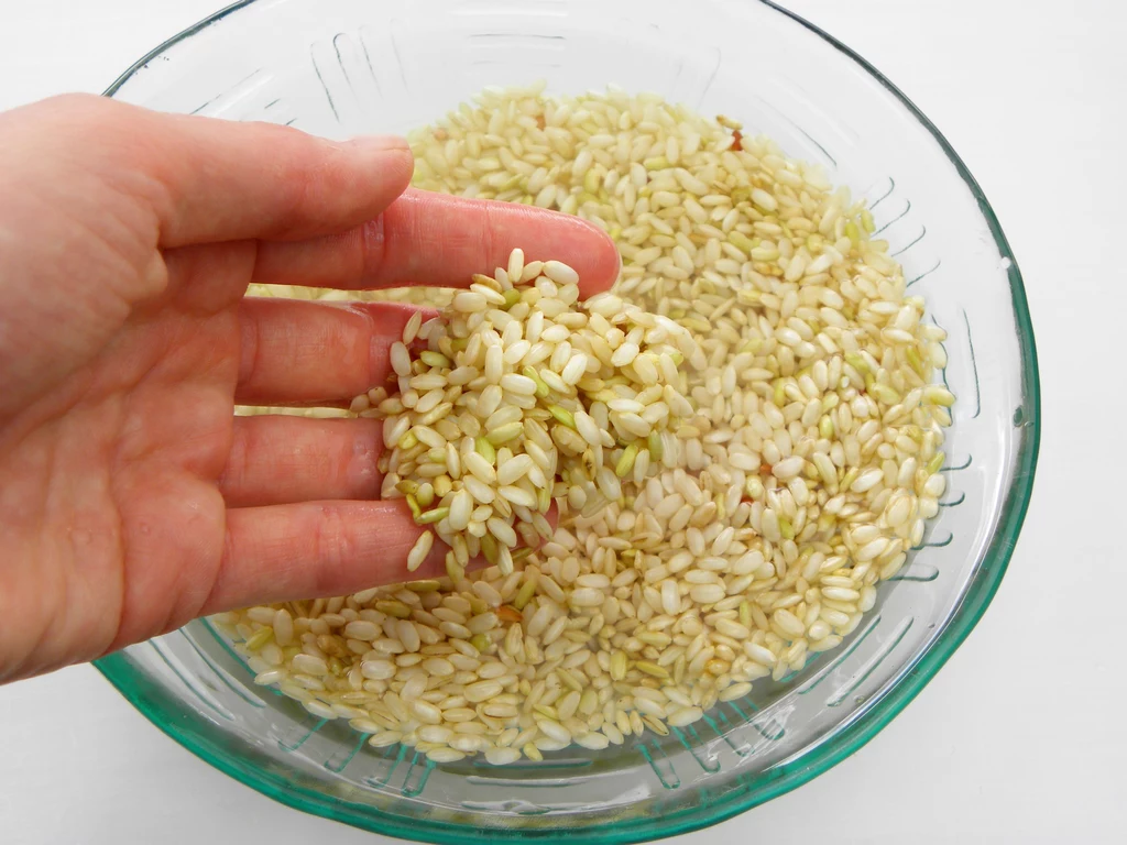 Płukanie ryżu przed gotowaniem - nigdy nie pomijaj tej czynności