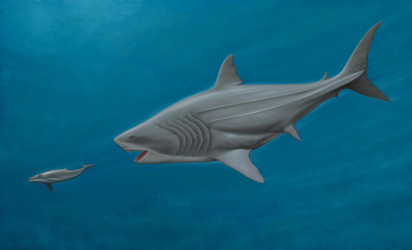 Termometria izotopów zbrylonych to technika wykorzystująca tendencję niektórych cięższych izotopów, takich jak węgiel-13 i tlen-18, do łączenia się ze sobą w minerałach w zależności od temperatury, w której powstały. Analizując stopień zbrylenia, naukowcy mogą określić temperaturę, w której zachodził proces mineralizacji. "Badania z wykorzystaniem tych metod wykazały, że są one szczególnie przydatne we wnioskowaniu o termofizjologii kopalnych kręgowców o "nieznanym" pochodzeniu metabolicznym poprzez porównanie temperatury ich ciała z temperaturą współwystępujących skamieniałości o "znanym" metabolizmie" - wyjaśnił w oświadczeniu prasowym główny autor Michael Griffiths z William Paterson University Termometria izotopów zbrylonych to technika wykorzystująca tendencję niektórych cięższych izotopów, takich jak węgiel-13 i tlen-18, do łączenia się ze sobą w minerałach w zależności od temperatury, w której powstały. Analizując stopień zbrylenia, naukowcy mogą określić temperaturę, w której zachodził proces mineralizacji. "Badania z wykorzystaniem tych metod wykazały, że są one szczególnie przydatne we wnioskowaniu o termofizjologii kopalnych kręgowców o "nieznanym" pochodzeniu metabolicznym poprzez porównanie temperatury ich ciała z temperaturą współwystępujących skamieniałości o "znanym" metabolizmie" - wyjaśnił w oświadczeniu prasowym główny autor Michael Griffiths z William Paterson University