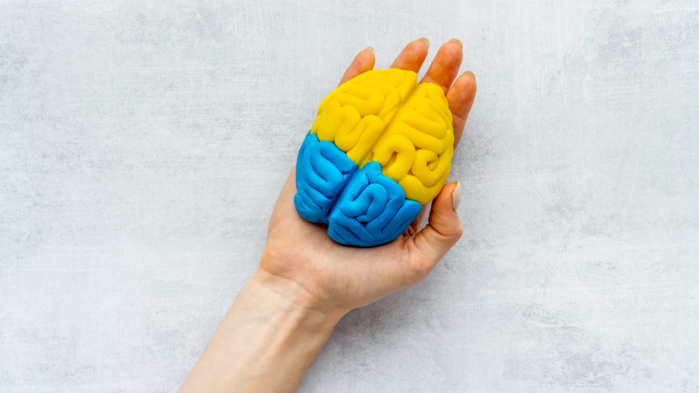 Czy długość palców zdradza potencjał mózgu? Czy długość palców zdradza potencjał mózgu?